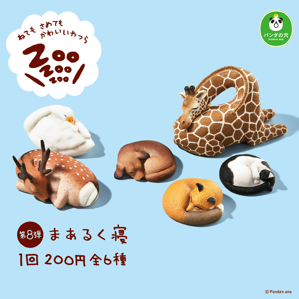 縮成一團睡最舒服啦 熊貓之穴 睡眠動物園zoozoozoo 第八彈まあるく寝 轉蛋人氣登場 玩具人toy People News