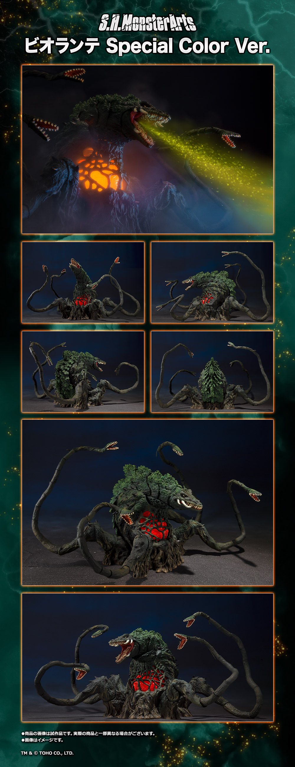 觸手系神獸再臨~S.H.MonsterArts 《哥吉拉vs碧奧蘭蒂》碧奧蘭蒂 Special Color Ver.(ビオランテ Special Color Ver.)