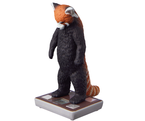 TANITA 塔尼達×熊貓之穴「今天幾公斤？」轉蛋　跟超可愛的動物們一起測量體重吧！