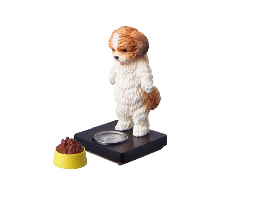 TANITA 塔尼達×熊貓之穴「今天幾公斤？」轉蛋　跟超可愛的動物們一起測量體重吧！