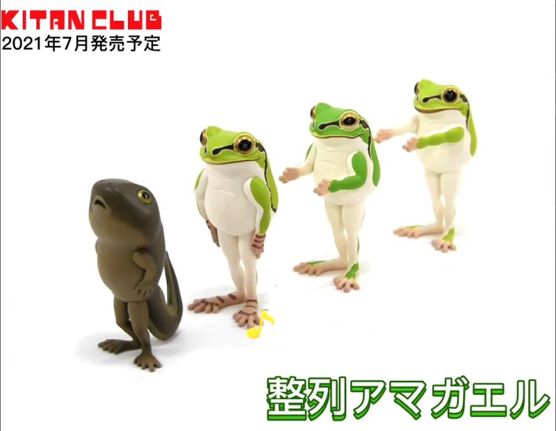 奇譚俱樂部「整隊！排隊的雨蛙」（整列アマガエル）轉蛋 怎麼有隻蝌蚪混在裡面！？