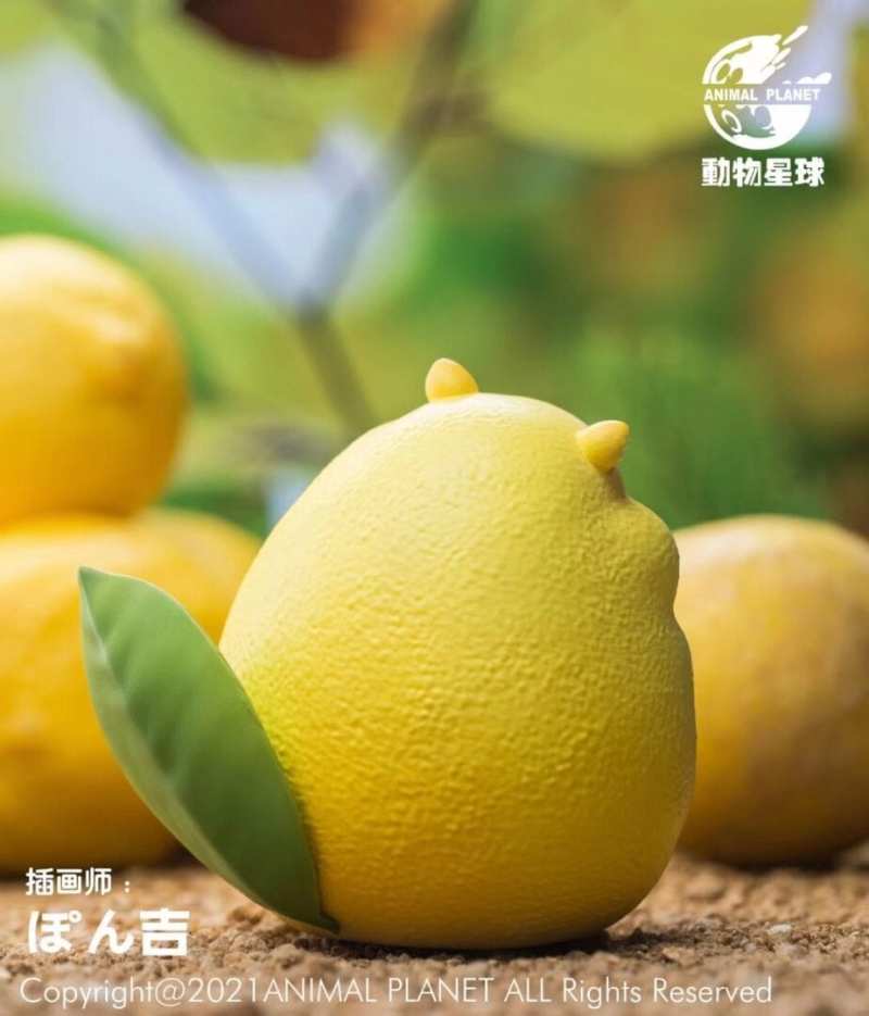 太檬啦！動物星球× ぽん吉《果物精靈》超可愛「檸檬鼠」立體化 還帶有淡淡果香味～