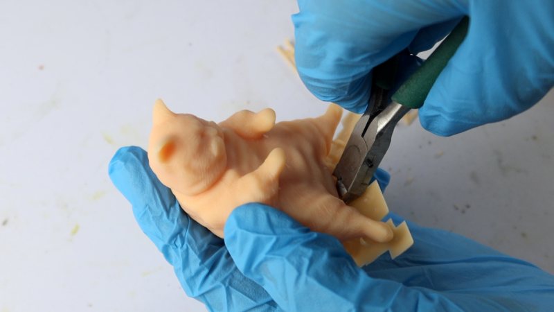 【原創作品】3D列印了胖貓 參