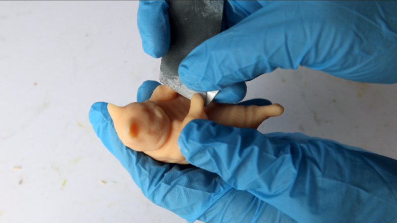 【原創作品】3D列印了胖貓 參