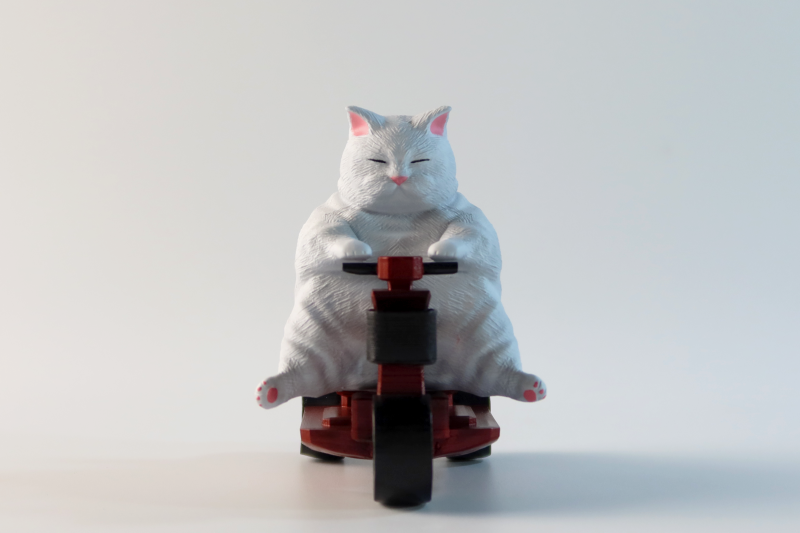 【原創作品】3D列印了胖貓 參