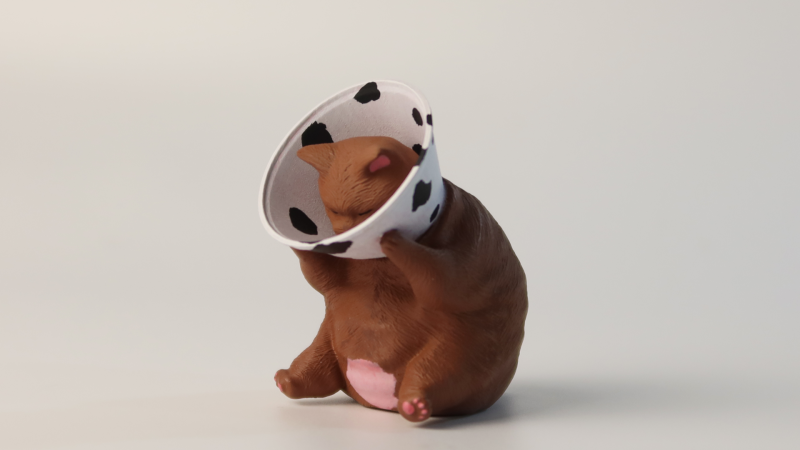 【原創作品】3D列印了胖貓 肆