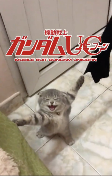 貓咪重現《機動戰士鋼彈UC》獨角獸鋼彈經典畫面 網友 : 還原度真高！