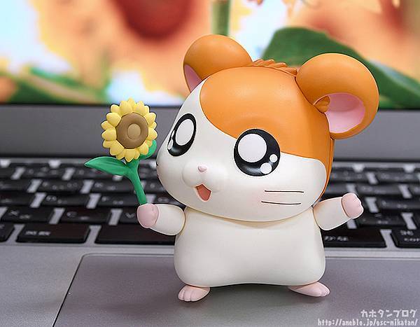 GSC推出豪華版「黏土人 哈姆太郎」 最喜歡的東西~是向日葵的種子♪