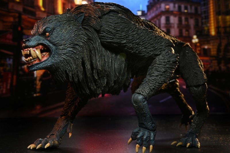 經典狼人再現!NECA《美國狼人在倫敦》狼人 7吋可動立體人形