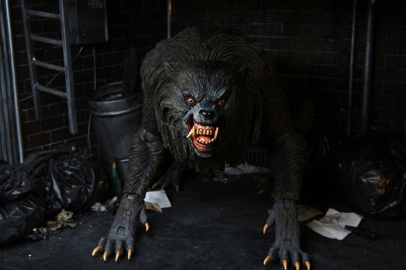 經典狼人再現!NECA《美國狼人在倫敦》狼人 7吋可動立體人形