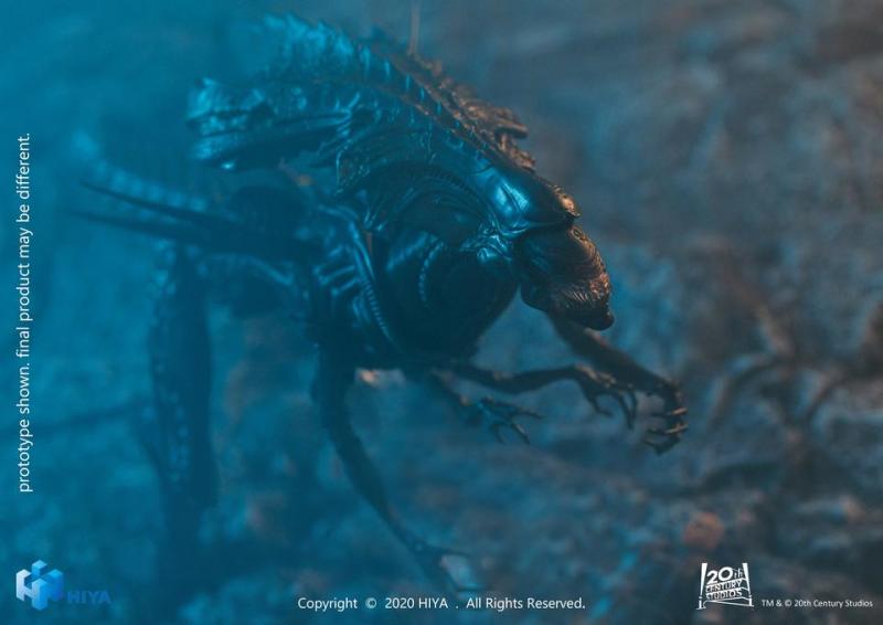 Hiya Toys《異形戰場》異形女王戰損版（Battle Damage Alien Queen）1/18 比例 Figure【Previews限定】