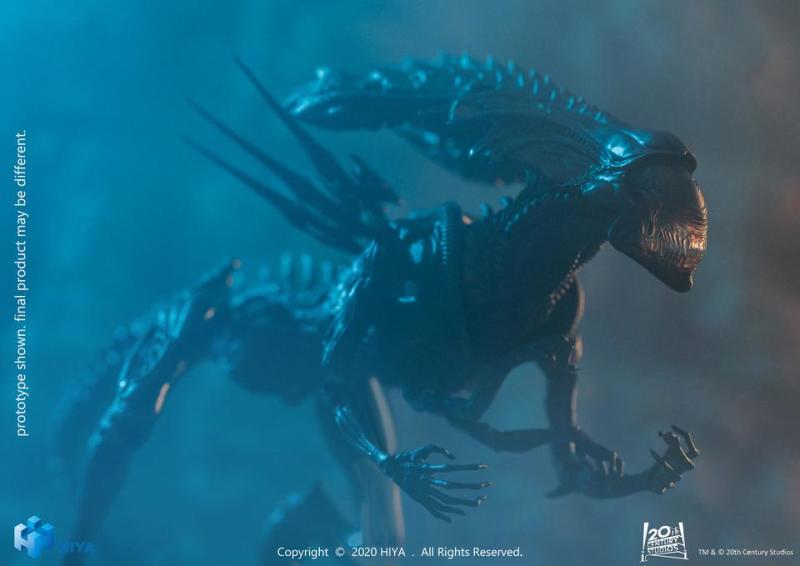 Hiya Toys《異形戰場》異形女王戰損版（Battle Damage Alien Queen）1/18 比例 Figure【Previews限定】