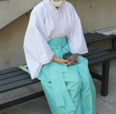 740年龜有香取神社石龜遺失  拜託請把「信長」和「光秀」還回來阿!!