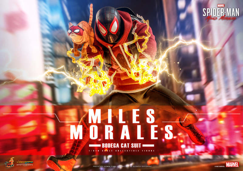 Hot Toys – [VGM50] -《漫威蜘蛛人：邁爾斯摩拉斯》邁爾斯·摩拉斯（雜貨店之貓戰衣）1/6 比例收藏級人偶