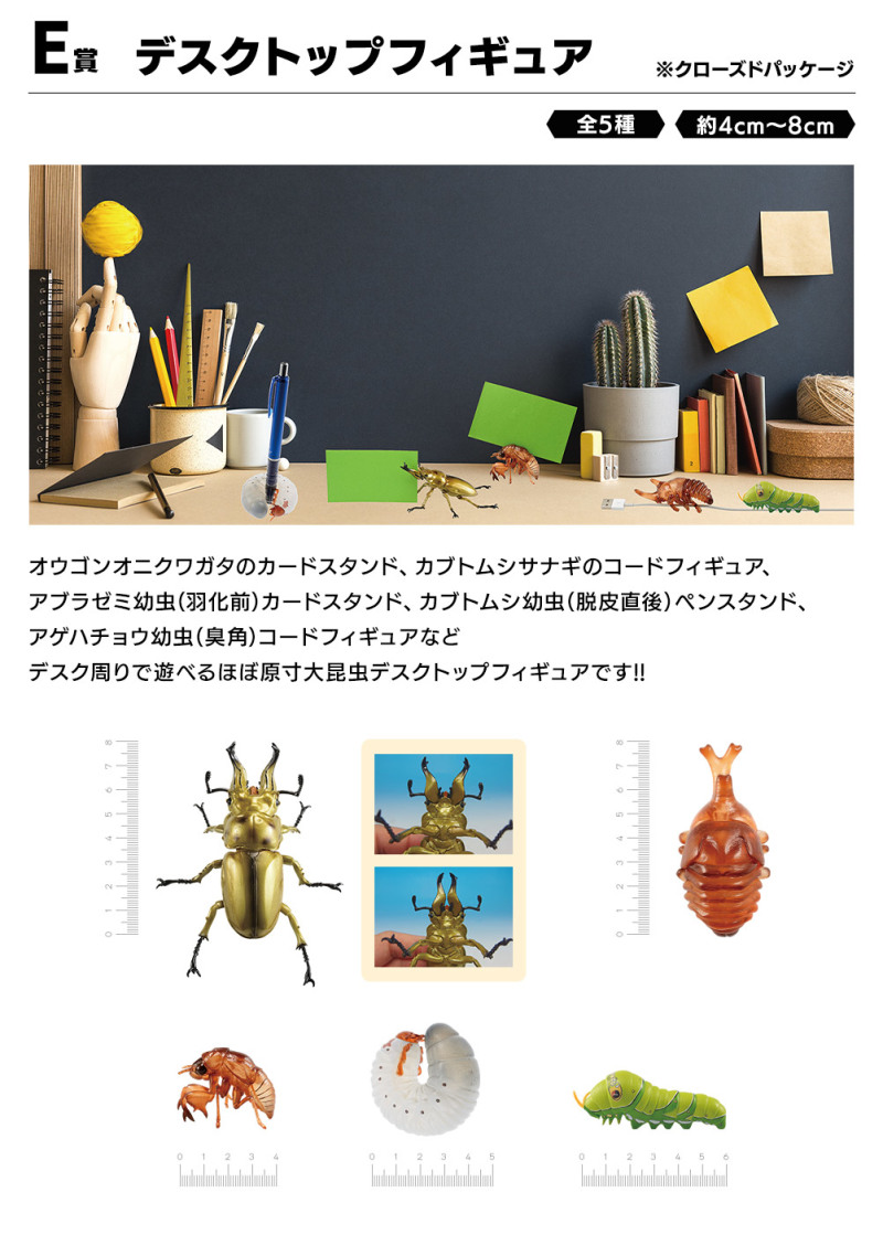 螳螂魔王vs甲蟲勇者！一番賞昆蟲「世界的昆蟲大集合!!」20公分霸氣開戰