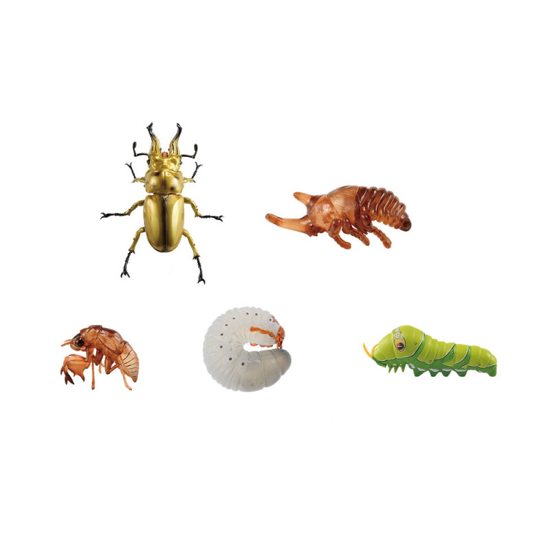螳螂魔王vs甲蟲勇者！一番賞昆蟲「世界的昆蟲大集合!!」20公分霸氣開戰