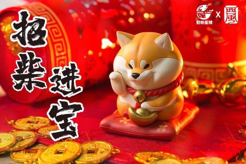 柴柴控失心瘋！呆萌「阿柴枸杞」小手一招好運跟著來~~