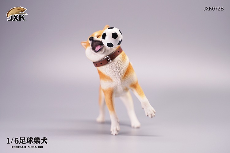 嘴邊肉接球球！JxK Studio 擬真動物系列「足球柴犬」1/6比例塗裝 