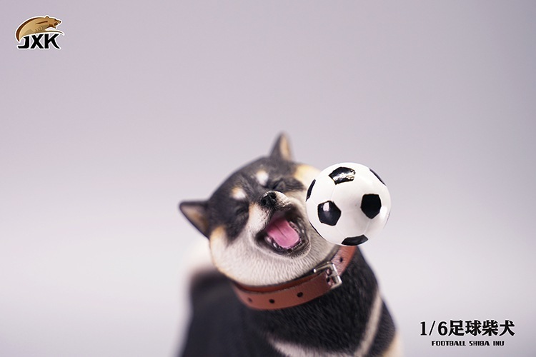 嘴邊肉接球球！JxK Studio 擬真動物系列「足球柴犬」1/6比例塗裝完成品