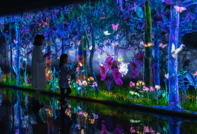 與蝶共舞!!  teamLab×KDDI合作藝術展  以通信與創造打造5G的AR世界