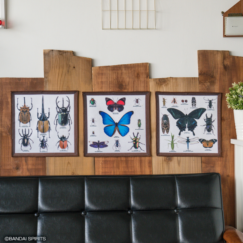 螳螂魔王vs甲蟲勇者！一番賞昆蟲「世界的昆蟲大集合!!」20公分霸氣開戰