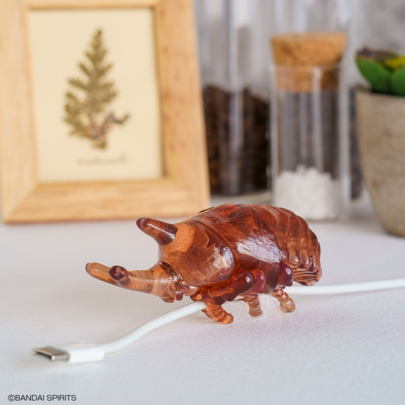 螳螂魔王vs甲蟲勇者！一番賞昆蟲「世界的昆蟲大集合!!」20公分霸氣開戰