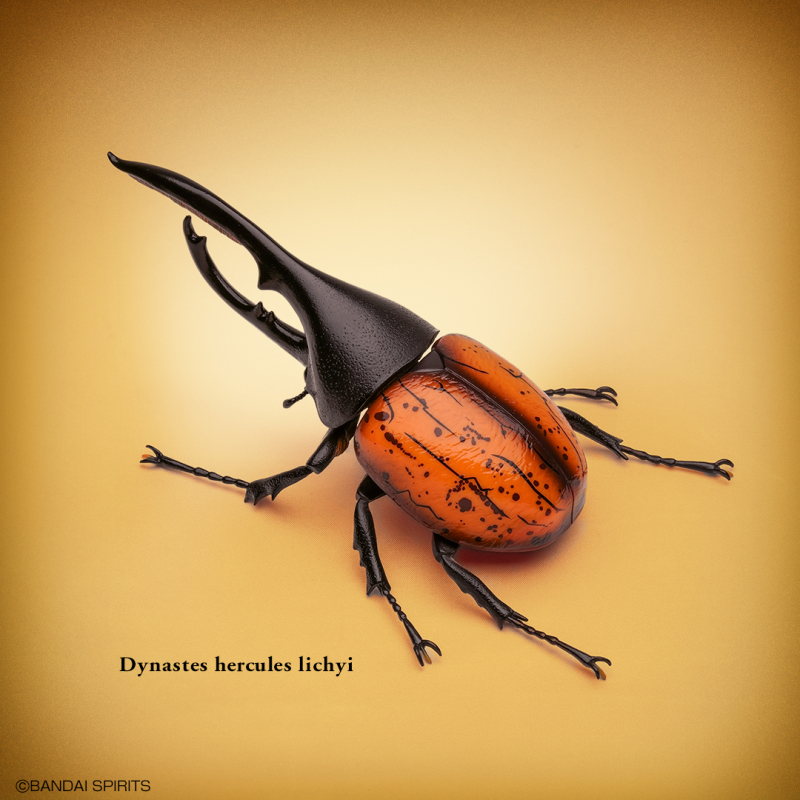 螳螂魔王vs甲蟲勇者！一番賞昆蟲「世界的昆蟲大集合!!」20公分霸氣開戰