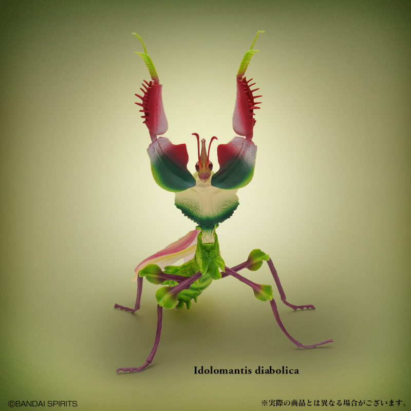 螳螂魔王vs甲蟲勇者！一番賞昆蟲「世界的昆蟲大集合!!」20公分霸氣開戰