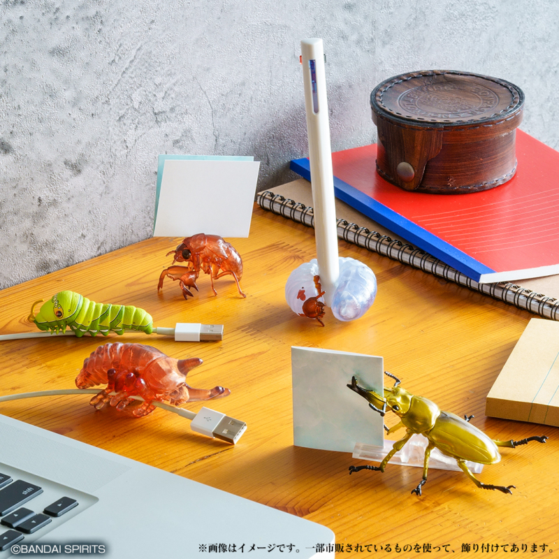 螳螂魔王vs甲蟲勇者！一番賞昆蟲「世界的昆蟲大集合!!」20公分霸氣開戰