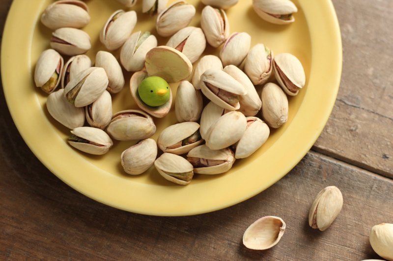 STASTO Animal Attraction 系列「擬態食物的動物」轉蛋 軟萌小海豹化身棉花糖夾心餅~