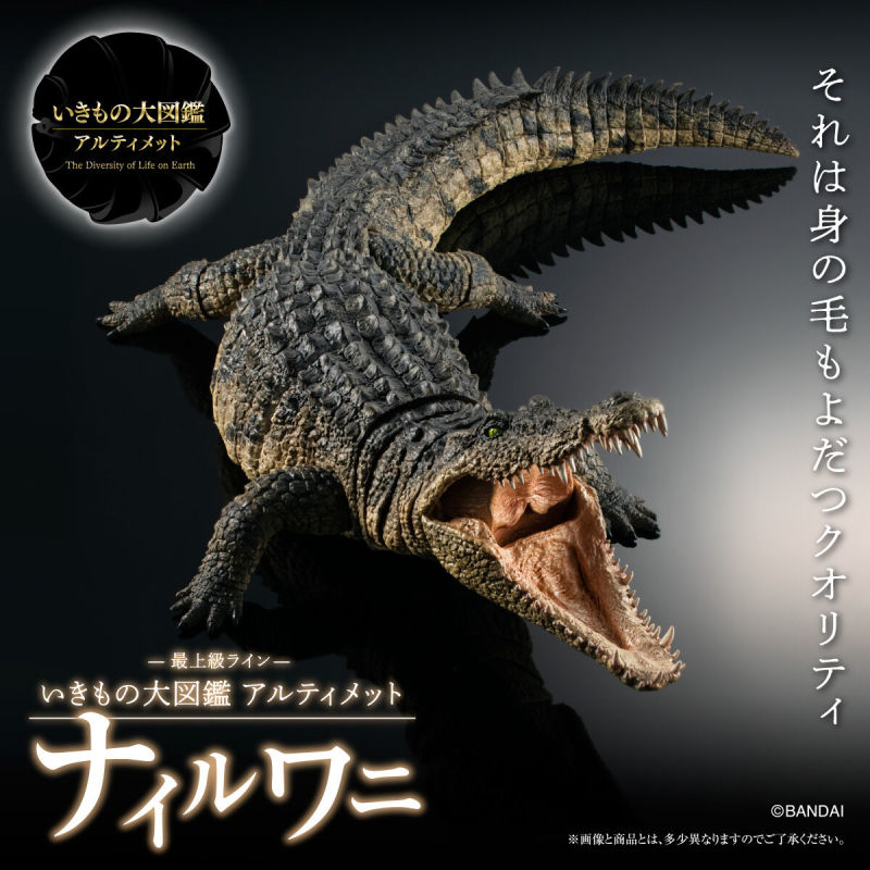 GASHAPON『生物大圖鑑Ultimate 尼羅鱷』全長 40 公分超擬真造型明年 01 月發售！