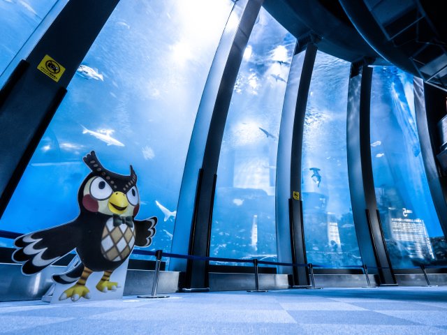 推主親遊八景島水族館「動物森友會合作」發現超用心！館內放動森博物館BGM，還有1:1呂遊昏在你面前