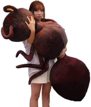 日本Amazon上販售「巨大螞蟻娃娃」 網友 : 成為蟻人就靠它了！