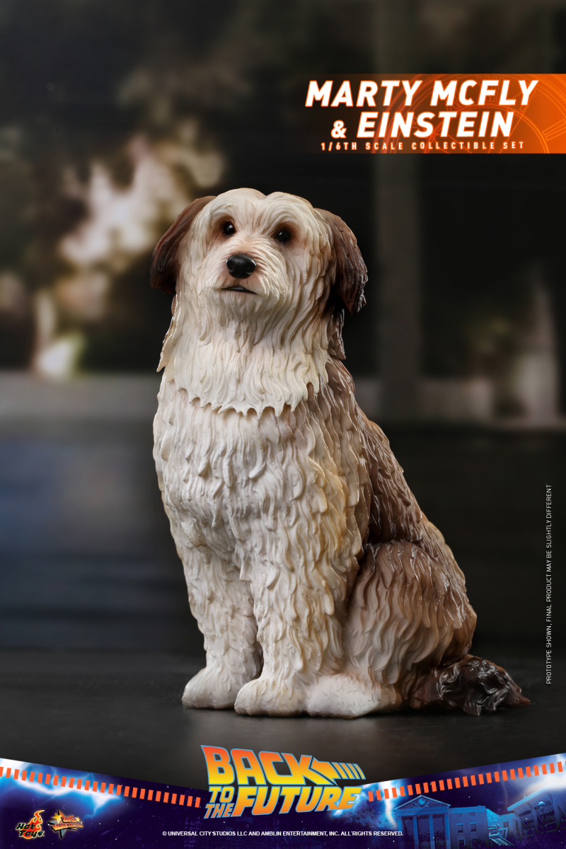 Hot Toys – MMS573 -《回到未來》馬蒂·麥佛萊&愛因斯坦(Marty McFly and Einstein)1/6 比例收藏套組