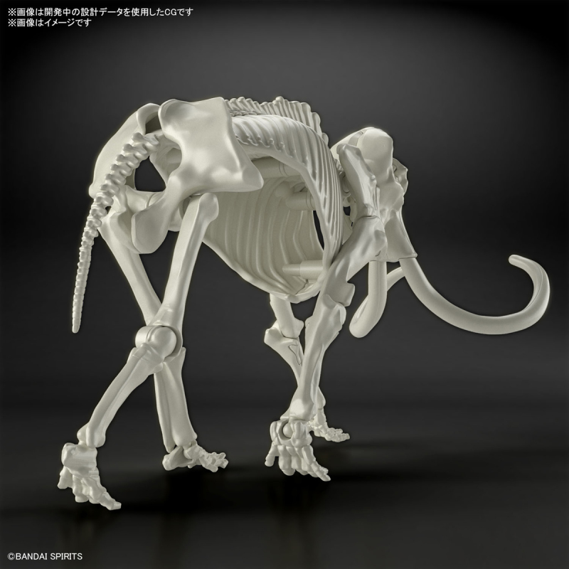 精密骨骼×溫感變色毛皮!BANDAI SPIRITS「Exploring Lab Nature 猛獁象」組裝模型