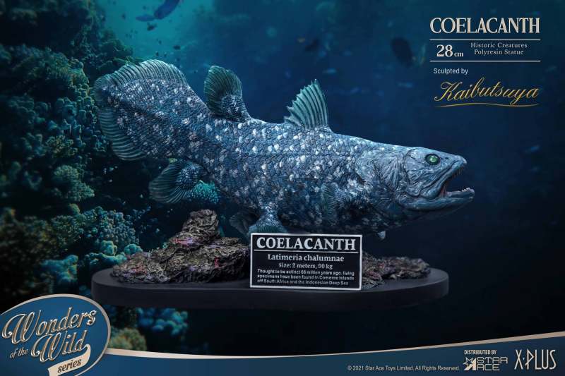 Star Ace Toys X Plus 腔棘魚 28 公分雕像 腔棘魚化石板 Coelacanth Fossil 探究海洋生物的奧妙 玩具人toy People News