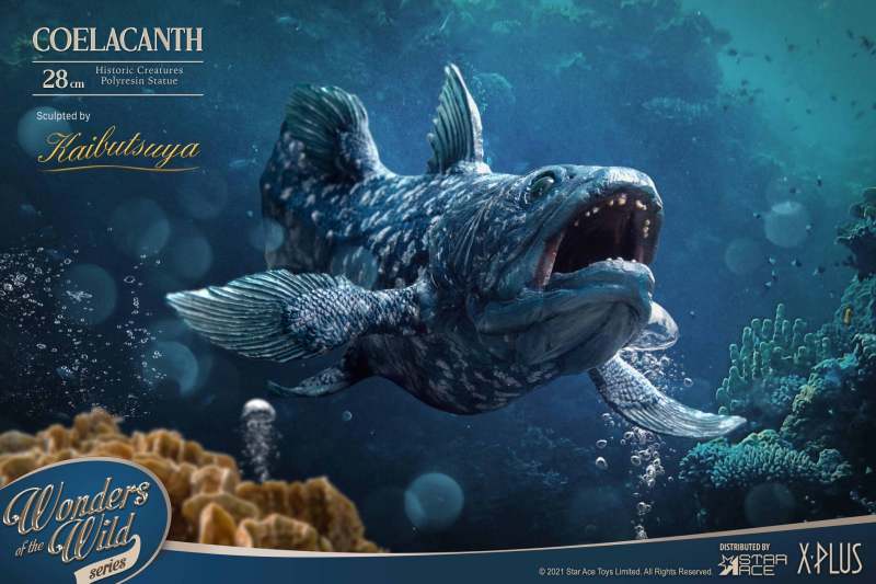 Star Ace Toys × X-Plus「腔棘魚」28 公分雕像＆「腔棘魚化石板」（COELACANTH & FOSSIL）探究海洋生物的奧妙！