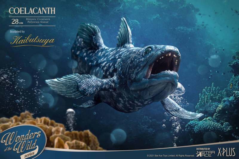 Star Ace Toys X Plus 腔棘魚 28 公分雕像 腔棘魚化石板 Coelacanth Fossil 探究海洋生物的奧妙 玩具人toy People News