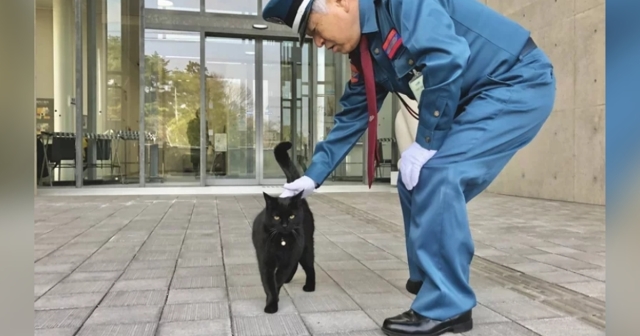 覺得寂寞了？「尾道美術館的貓」連闖展館5年，熟悉的警衛不在讓牠採取新行動 (ΦωΦ)
