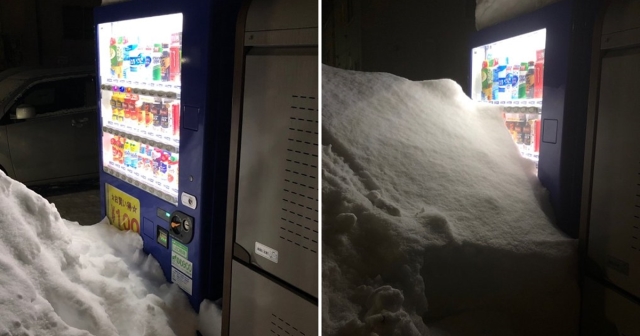 大雪堆太高！推主超想喝飲料「每日更新門口販賣機雪溶了沒」→勤懇1個月大結局卻是...