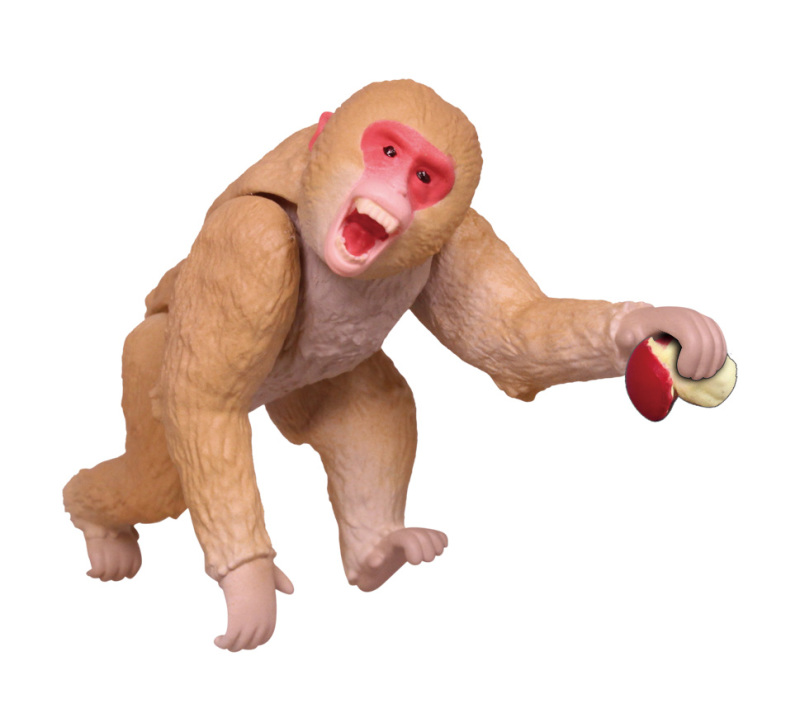 讓你知曉動物的可怕！T-ARTS《危險生物大百科》第五彈 危險來訪者