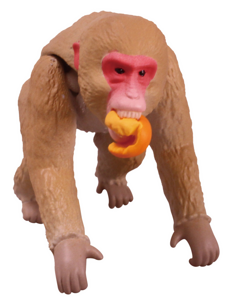 讓你知曉動物的可怕！T-ARTS《危險生物大百科》第五彈 危險來訪者