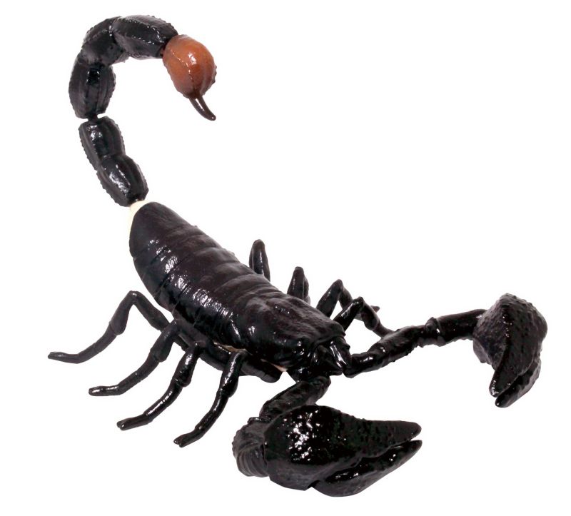 讓你知曉動物的可怕！T-ARTS《危險生物大百科》第五彈 危險來訪者