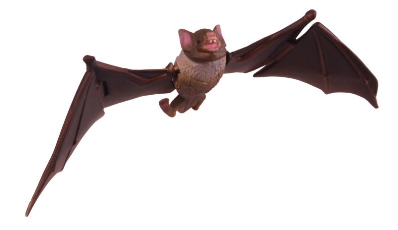 讓你知曉動物的可怕！T-ARTS《危險生物大百科》第五彈 危險來訪者