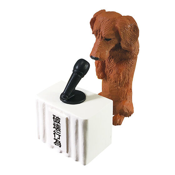 寵物的重大發表...GASHAPON「動物記者會」轉蛋 替日常惡行謝罪!