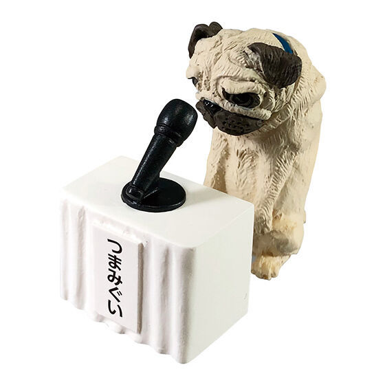 寵物的重大發表...GASHAPON「動物記者會」轉蛋 替日常惡行謝罪!