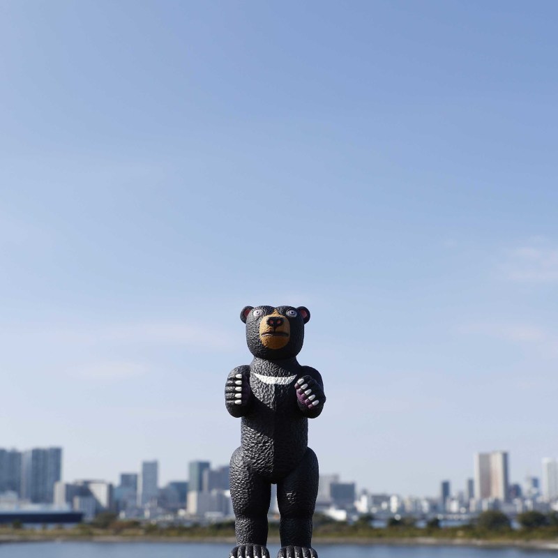 海洋堂【三沢厚彦 ANIMALS 熊】軟膠玩具 三色登場！