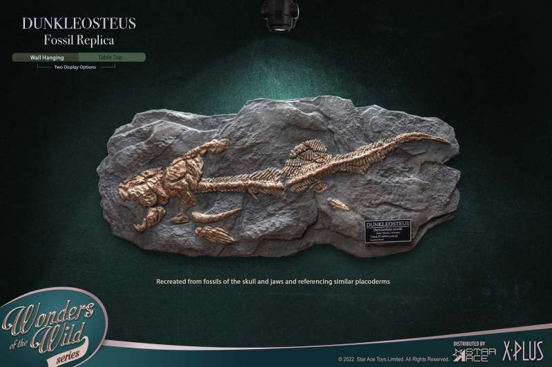 Star Ace Toys × X-Plus「鄧氏魚」雕像＆「鄧氏魚化石板」泥盆紀頂級海洋掠食者魄力登場！（DUNKLEOSTEUS &amp; FOSSIL）