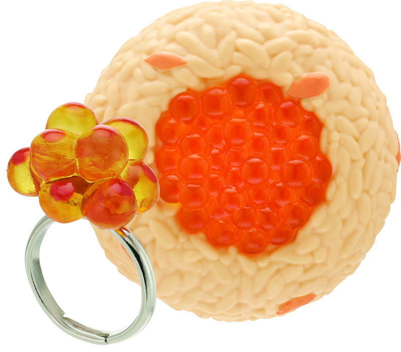 奇譚俱樂部【飯糰餡料戒指 第五彈】轉蛋（おにぎりん具5）這次是主打豪華的飯糰外殼！