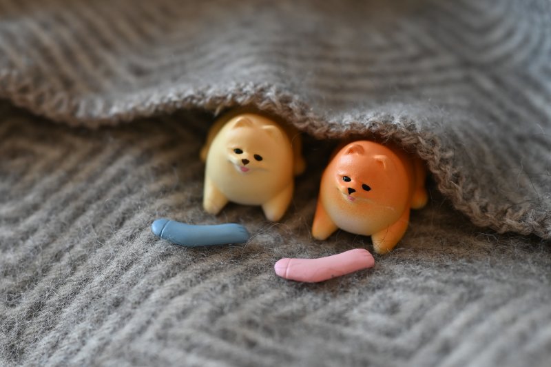 STASTO Animal Attraction 系列「散步博美2」轉蛋 下雨天也做好萬全準備要出去玩啦～